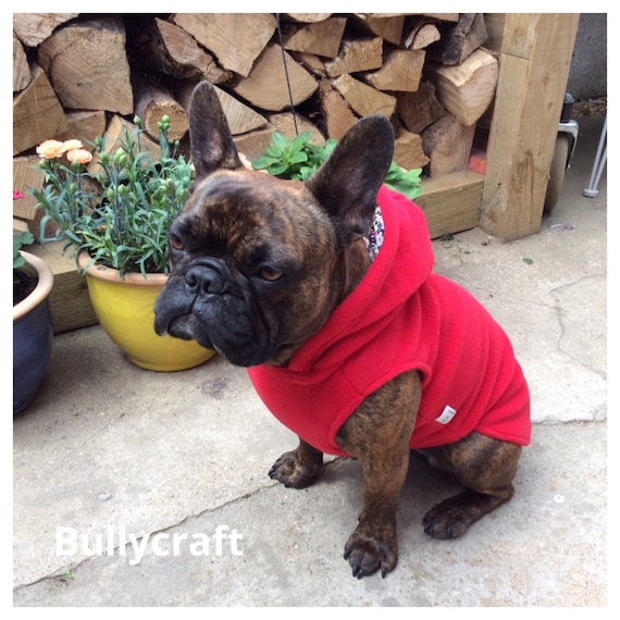 Frenchie bulldog hoodie 2025