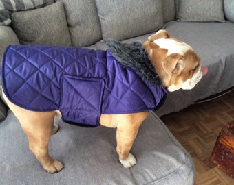 Purple Waterproof Bulldog Coat
