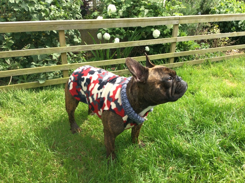 Red,Grey And Cream Camouflage French Bulldog Coat image 4