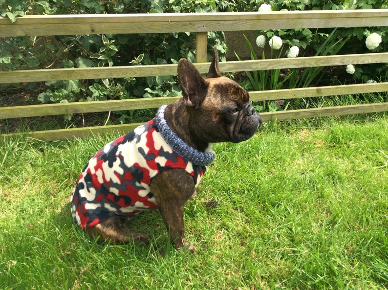 Red,Grey And Cream Camouflage French Bulldog Coat image 5