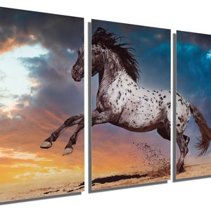 Metal Print - Appaloosa horse Wall Art with dark skies. Wild horse playing animal print wall art-Metal wall art HD aluminum print wall decor