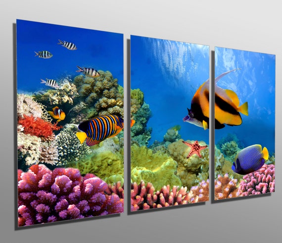 Metal Print - Marine Life on Coral Reef - 3 Panel Split, Triptych