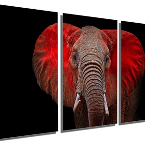 Metal Print - Elephant Wall Art. Elephant with big red ears animal art print set - Metal wall art HD aluminum prints home office wall decor