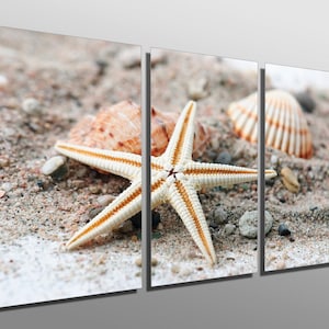 Metal Prints - Starfish and Seashell -3 Panel split, Triptych- Multi Panel Metal wall art HD aluminum panels for wall decor, interior design