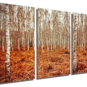 Impression métallique - Art mural automne forêt de bouleaux, impression forêt orange bouleau art mural bouleau art forêt - Art mural en métal aluminium HD