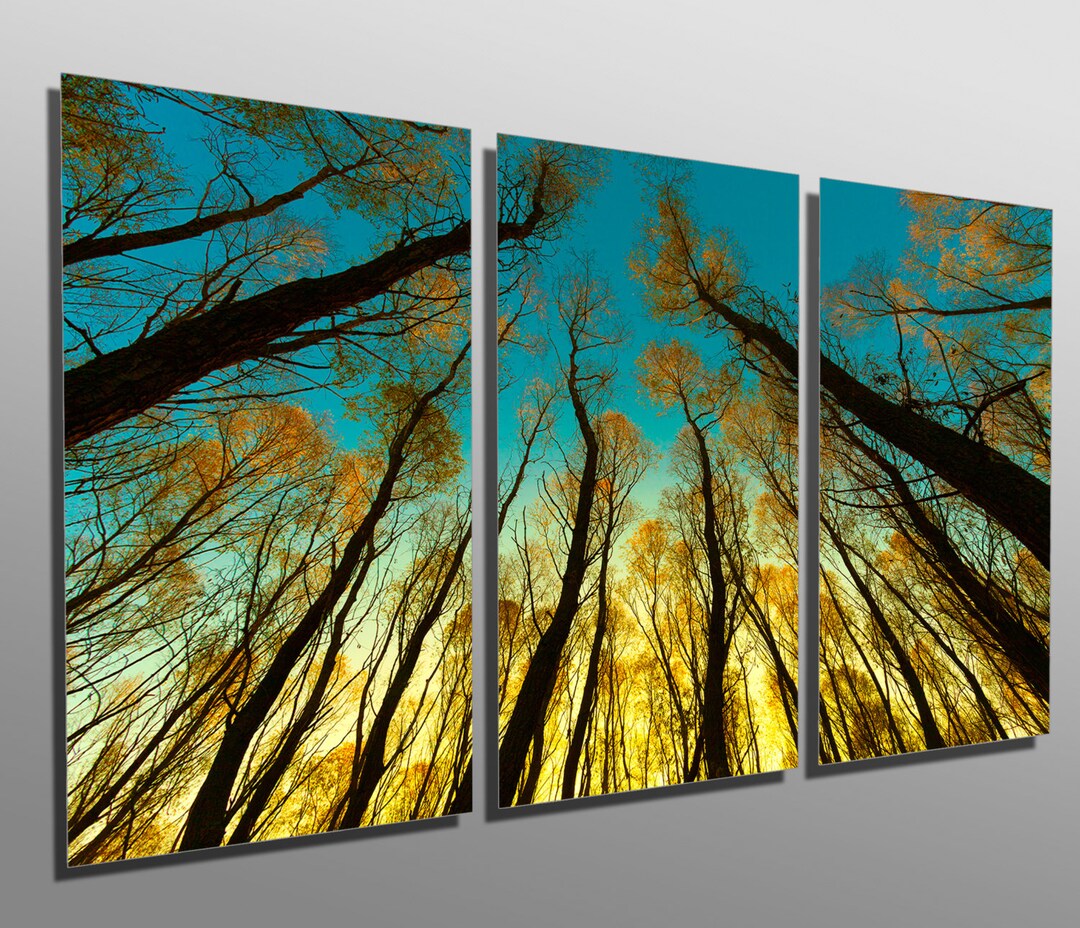 Metal Print - Trees in Forest - 3 Panel Split (triptych) - Metal