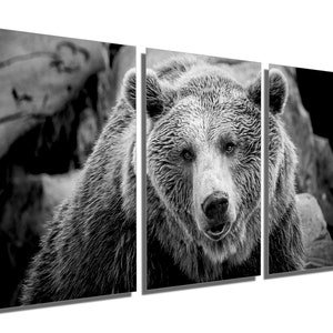 Metal Print - Grizzly Bear Black & White Wall Art - 3 Panel split, Triptych - Metal HD aluminum prints home decor wall decor interior design