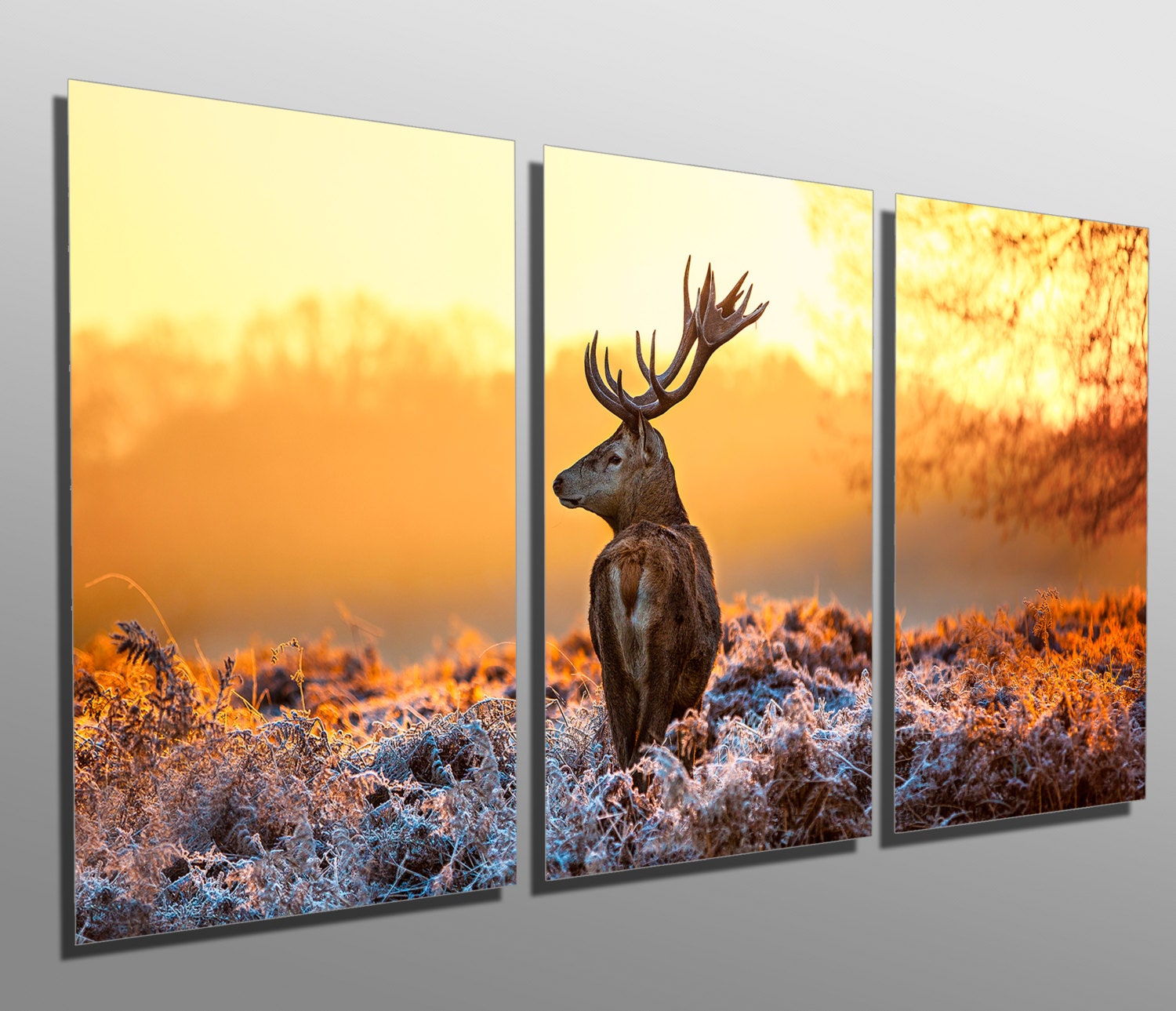 アルケミエ　7th と6th ジン　アブサン　wild deer 12本セット Metal Print - Deer in Morning Sun - 3 Panel Split, Triptych