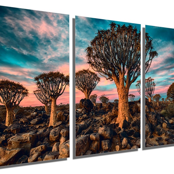 Metal Print - Quiver Tree Forest Wall Art with Turquoise Skies in Namibia. Scenic Landscape Wall Art Tree Print - Metal wall art HD aluminum