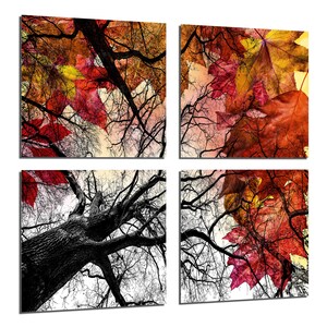 May include: A set of four square canvas prints featuring a close-up view of a tree with red, orange, and yellow leaves. The tree branches are bare and the leaves are falling from the tree. The background is a light blue sky.
