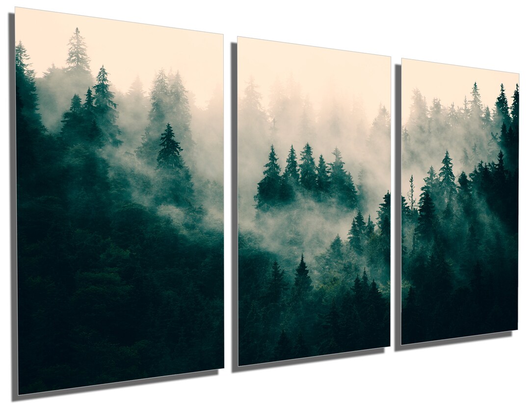 Metal Print - Foggy Forest Wall Art. Dark Misty Forest Pine Forest