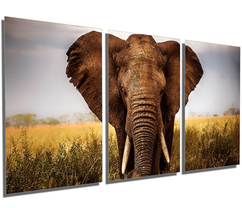 Giant Elephant Wall Art interior design. 3 Panel split wall decor Triptych Metal Prints HD Metal aluminum prints home decor