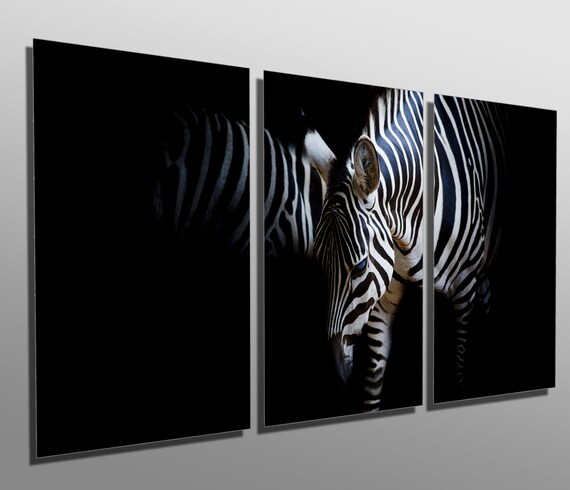 Metal Prints - Zebra - 3 Panel Split, Triptych - Multi Panel Metal
