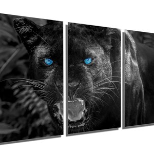 Metal Prints - Black Panther wall art blue eyes - 3 Panel split, Triptych - Metal HD aluminum prints home wall decor interior design