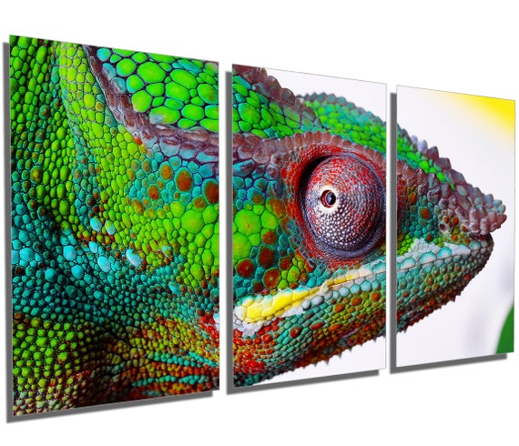Metal Prints - Panther Chameleon Wall Art - 3 Panel Split