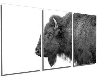 Metal Print - Bison Profile Wall Art Black & White - 3 Panel split, Triptych - Metal HD aluminum prints for home wall decor interior design