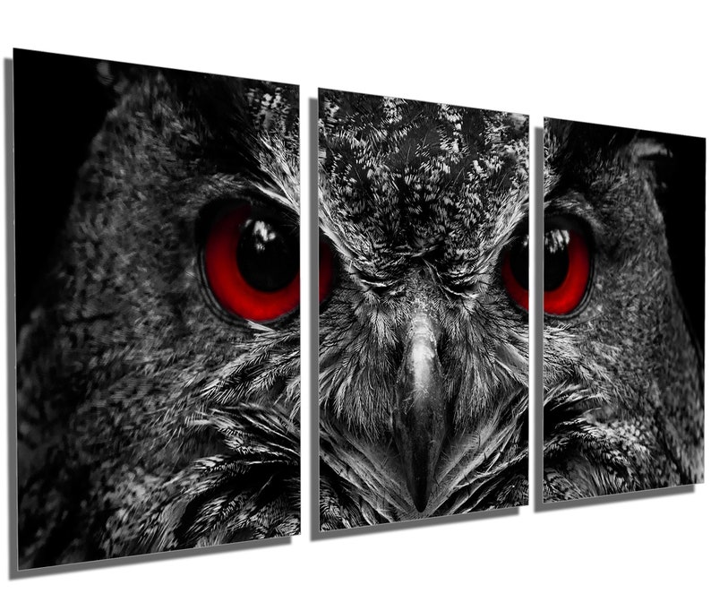 interior design Triptych 3 Panel split Blood Eyed Owl wall art Portrait Metal HD aluminum prints home wall decor Metal Prints
