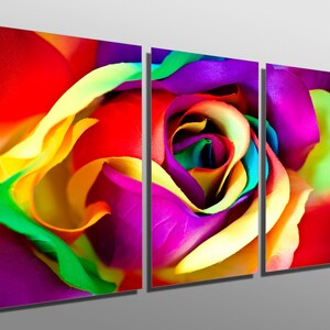 Metal Print - Colorful Rose - 3 Panel split (Triptych) - Metal wall art printed on HD aluminum prints for home decor & interior design.