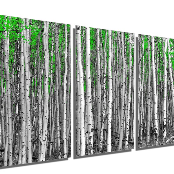 Metal Print - White Aspen, Birch Trees with Green Leaves - 3 Panel split (Triptych) - Metal wall art on HD aluminum prints. home wall decor