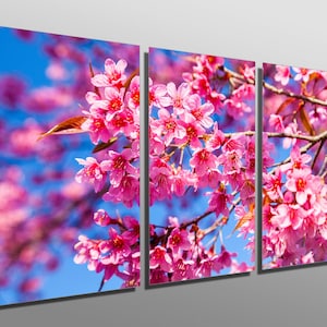 Metal Print - Pink Cherry Blossom - 3 Panel split (Triptych) - Multi Panel Metal wall art HD aluminum prints for home decor, interior design