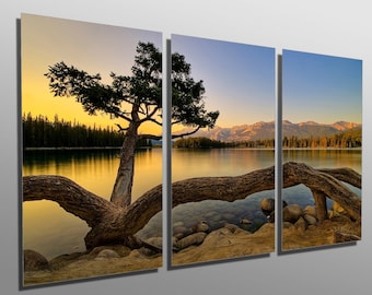 Metal Prints - Calm Lake + Tree at Dawn - 3 Panel split, Triptych - Metal wall art on HD aluminum prints for wall decor & interior design