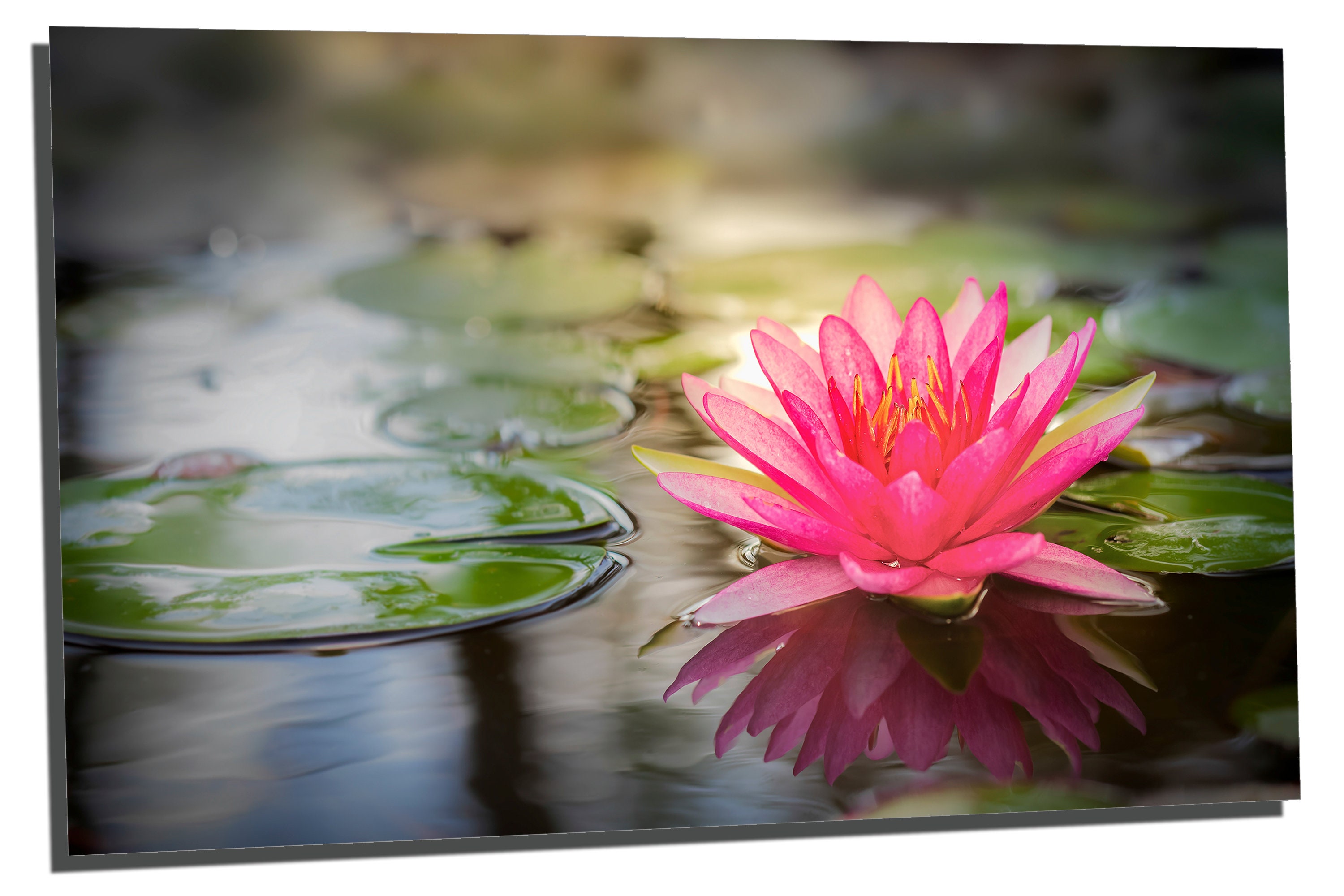 Metal Prints - Pink Lotus Flower Zen Art, Spa Wall Art - 3 Panel Split ...