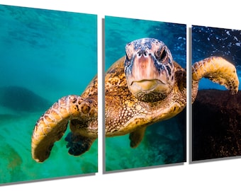 May include: A close-up of a green sea turtle swimming underwater. The turtle has a brown shell with yellow markings and is looking directly at the camera. The water is a vibrant blue and green.