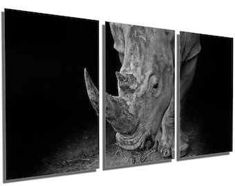 Metal Prints - Rhinoceros Wall Art Rhino - 3 Panel split (Triptych) - Metal HD aluminum multi panel home decor, wall decor, interior design.