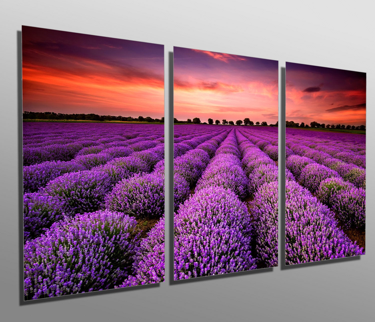 Metal Prints - Lavender Field at Sunset - 3 Panel Split (triptych