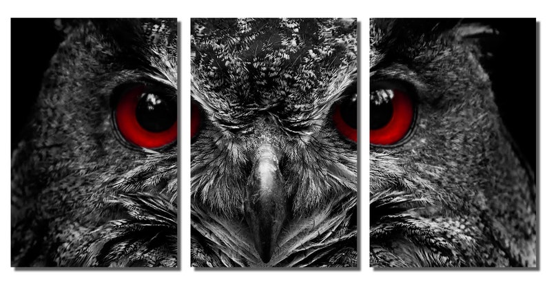 interior design Triptych 3 Panel split Blood Eyed Owl wall art Portrait Metal HD aluminum prints home wall decor Metal Prints