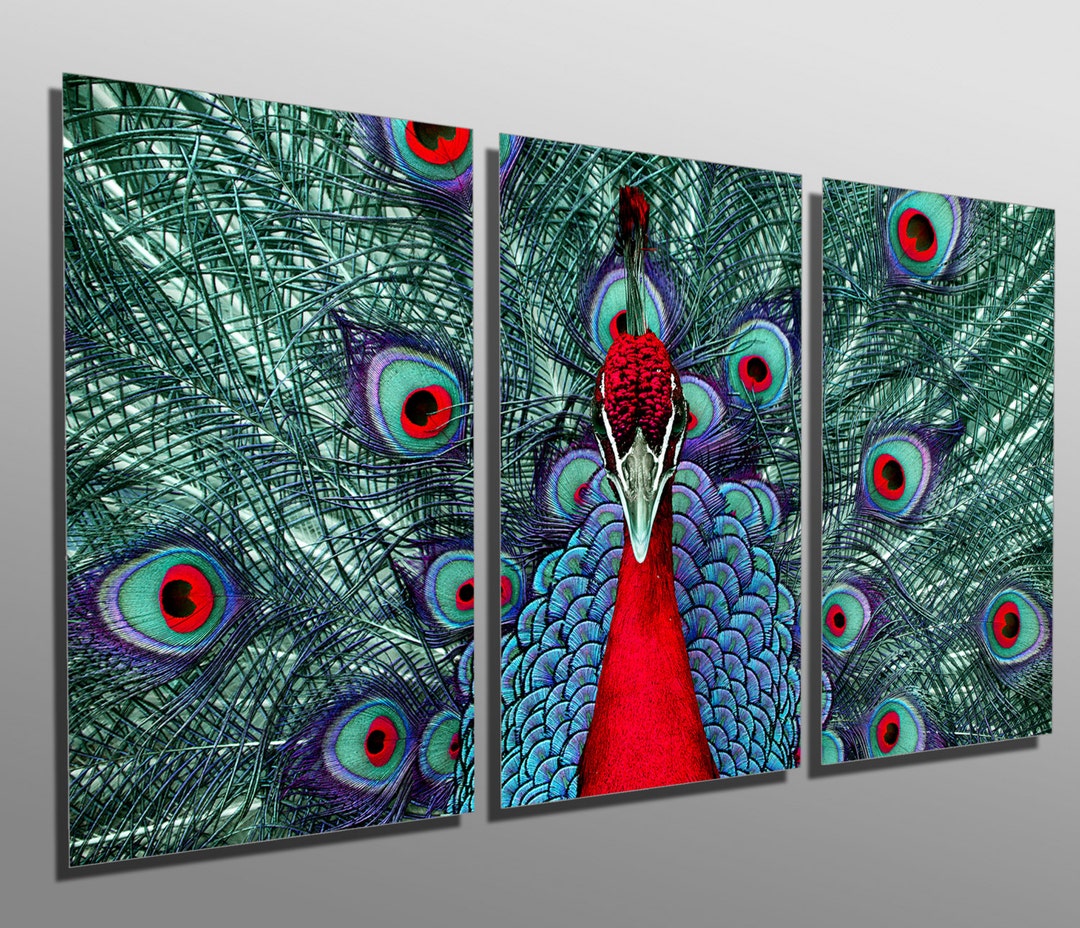 Metal Print - Red Peacock - 3 Panel Split (triptych) - Multi Panel