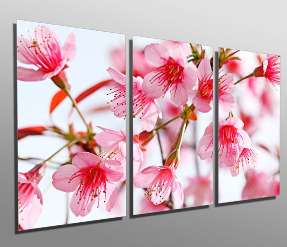アートポスター　OAK　Art Frame　Pink × Overlap Amazon.com - ArtToFrames 10x26 inch Baby Pink Stain on Beech