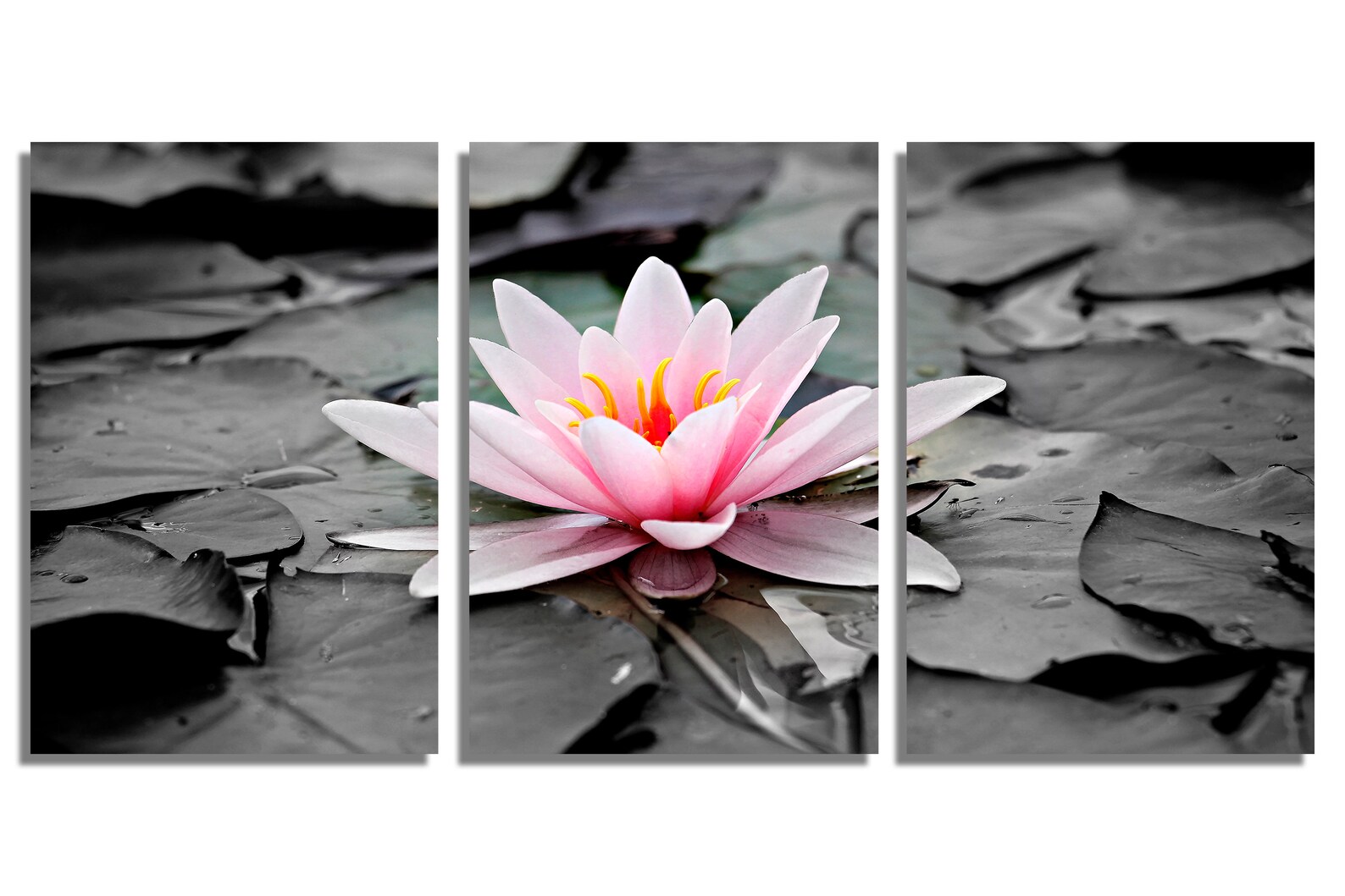 Metal Print Water Lily Flower Wall Art Zen Art. Zen Print Etsy