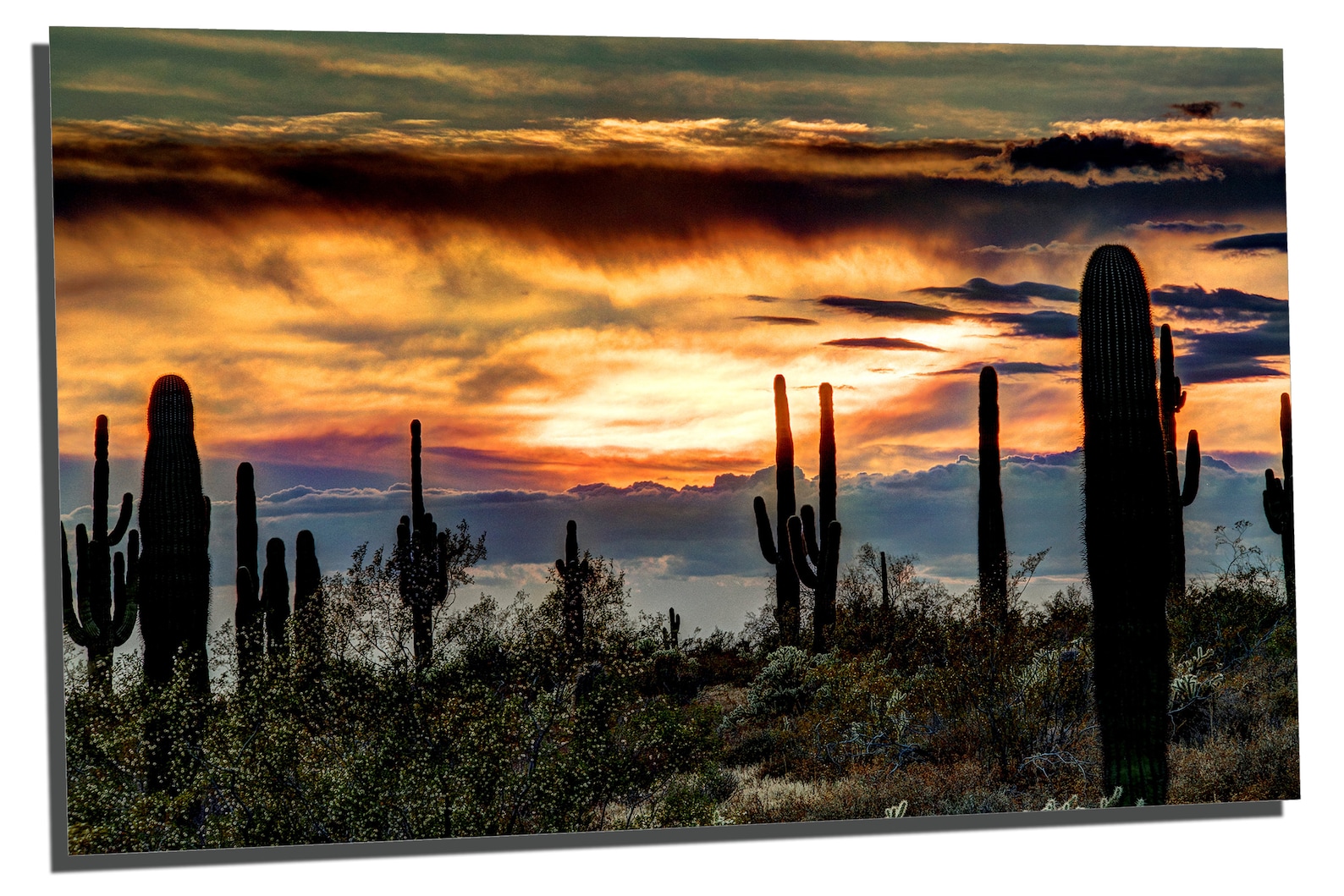 Metal Prints Sonoran Desert Arizona Sunset Wall Art 3 Etsy