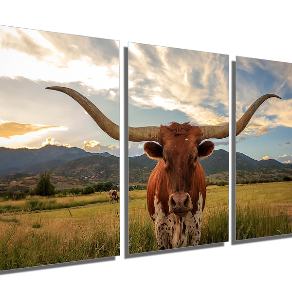 Aluminum Triptych Wall Art Etsy