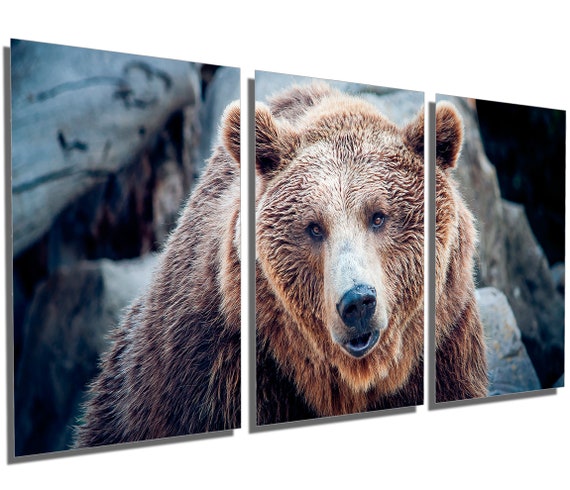 Metal Print - Brown Grizzly Bear Portrait Wall Art - 3 Panel Split