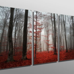 Metal Prints - Red Forest Mist -3 Panel split, Triptych - Multi Panel Metal wall art on HD aluminum prints for home decor & interior design.