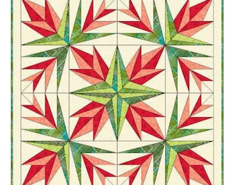 PDF Quilted Christmas Cactus Table Topper Holiday Centerpiece Quilt