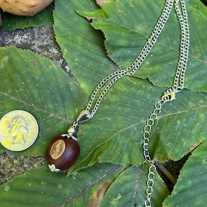 May include: A silver-toned necklace with a pendant made from a dark brown nut. The pendant has a lighter brown oval design. The necklace is displayed on green leaves with a quarter coin.