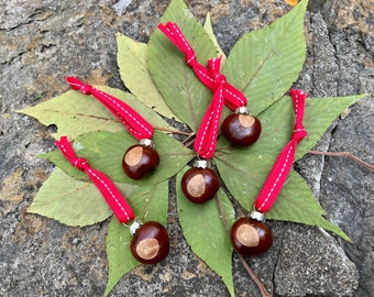 May include: Six chestnut ornaments with red and white ribbon hangers. The ornaments are arranged on green leaves and a gray stone surface. Each chestnut has a light brown patch.