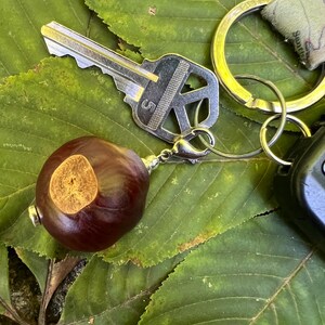 May include: A key ring with a key and a chestnut charm. The key is silver and has the number 5 on it. The chestnut is brown with a tan spot and is attached to the key ring with a silver clasp. The key ring is resting on green leaves.