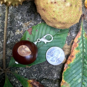 LARGE Ohio Buckeye Charm,Zipper Pull,silver,minimalist,fan gear,game day,Buckeye Fan,Ohio State Football,Accessory,College, Free Shipping