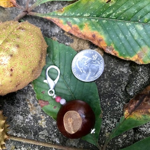 Large Ohio Buckeye Charm,Zipper Pull,silver,minimalist,fan gear,game day,Buckeye Fan,Ohio State Football,Accessory,College, Free Shipping