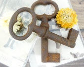 Keys - Old keys - Set of 2 French keys - Iron keys - Skeleton keys - Rusted keys - vintage - Country house - France - Rustic keys