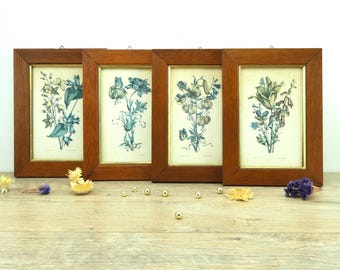 Small flower lithograph frames, vintage frames for wall decoration, wooden frames
