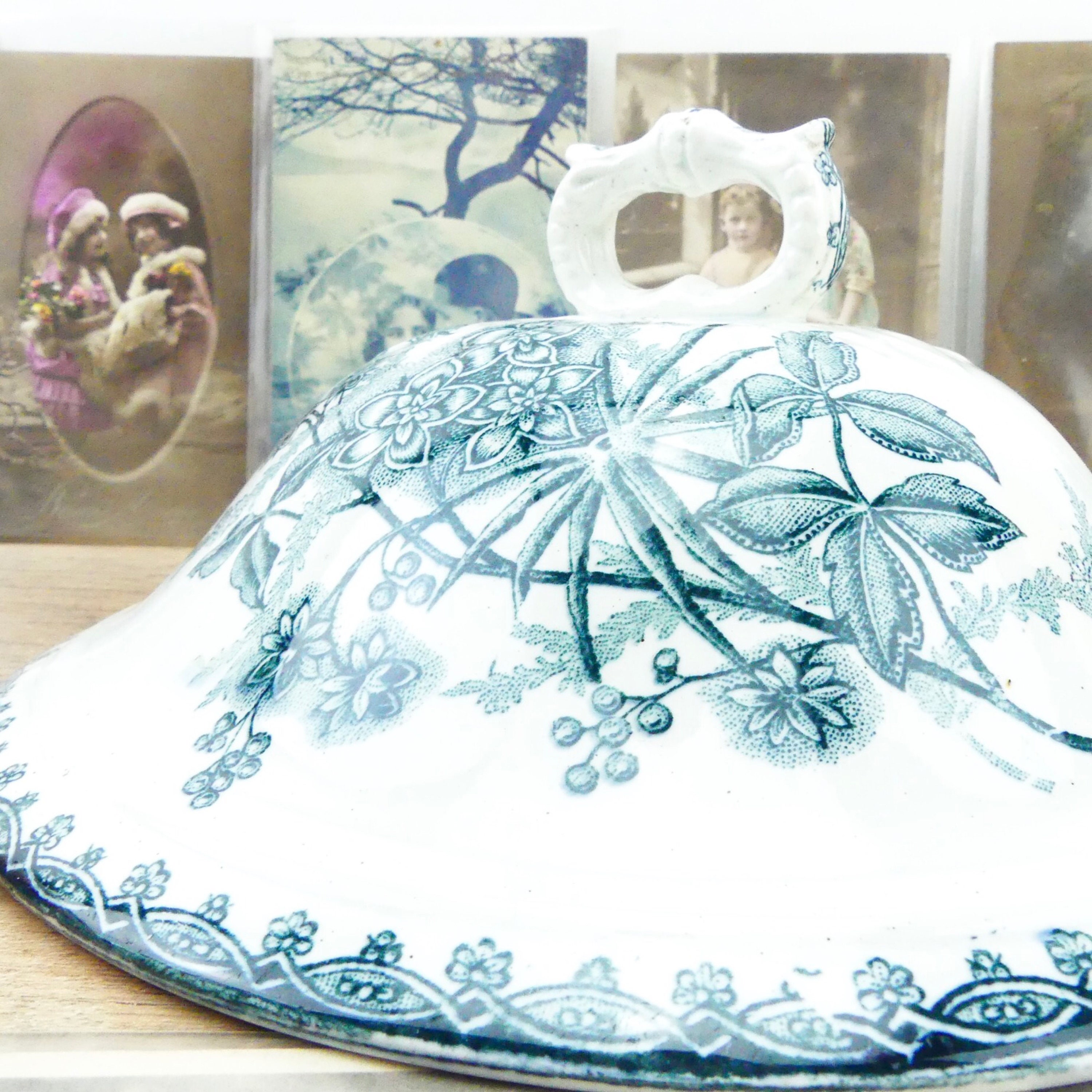 French soup tureen Blue tureen Antique Tureen French country