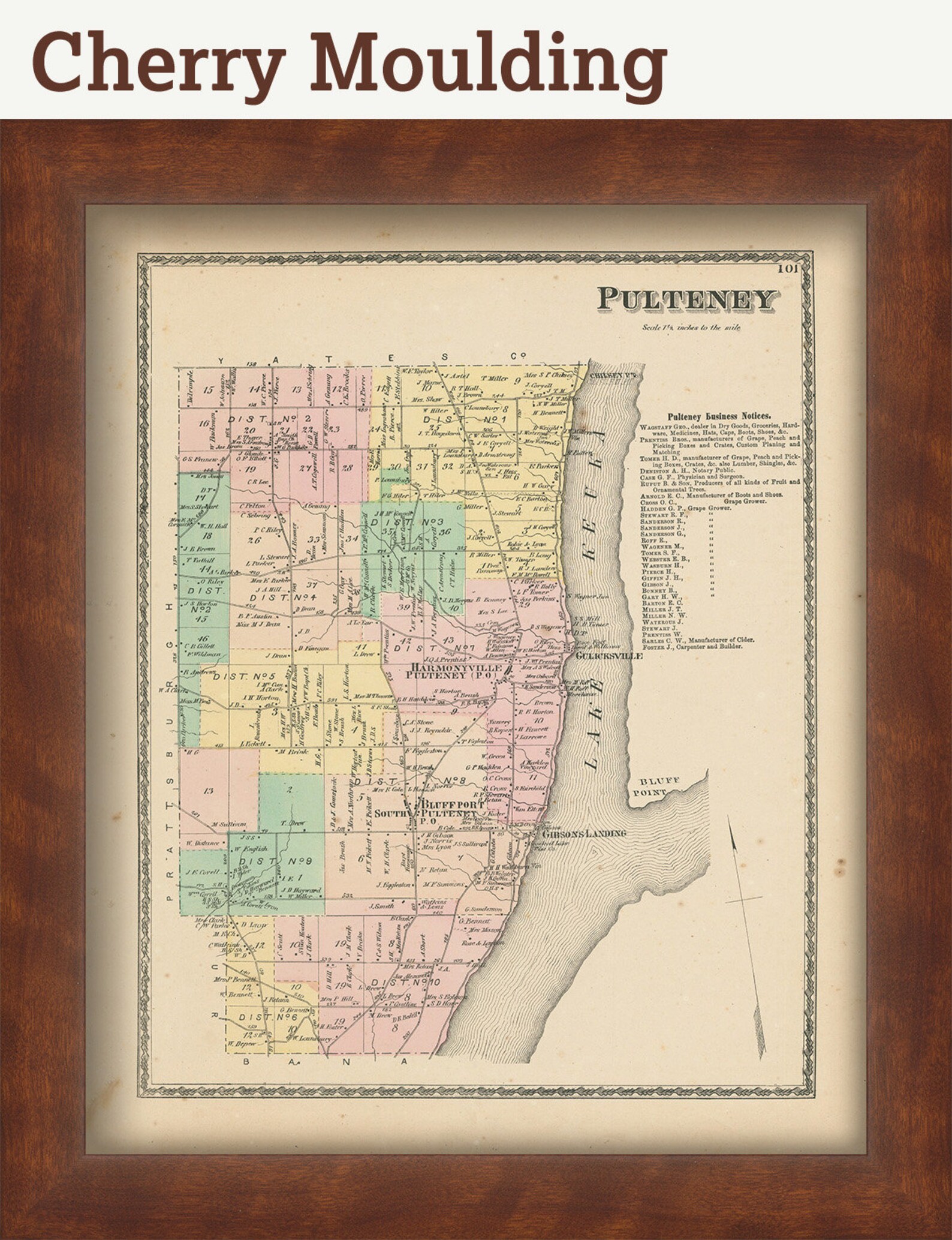 PULTENEY New York 1873 Map Replica or Genuine ORIGINAL Etsy