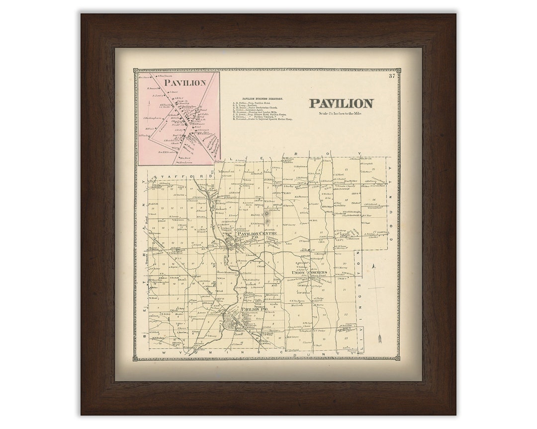 Town and Village of PAVILION, Genesee County, New York 1866 Map Etsy.de
