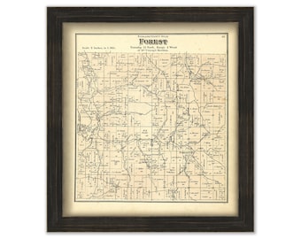 FOREST, Richland County, Wisconsin 1874 map