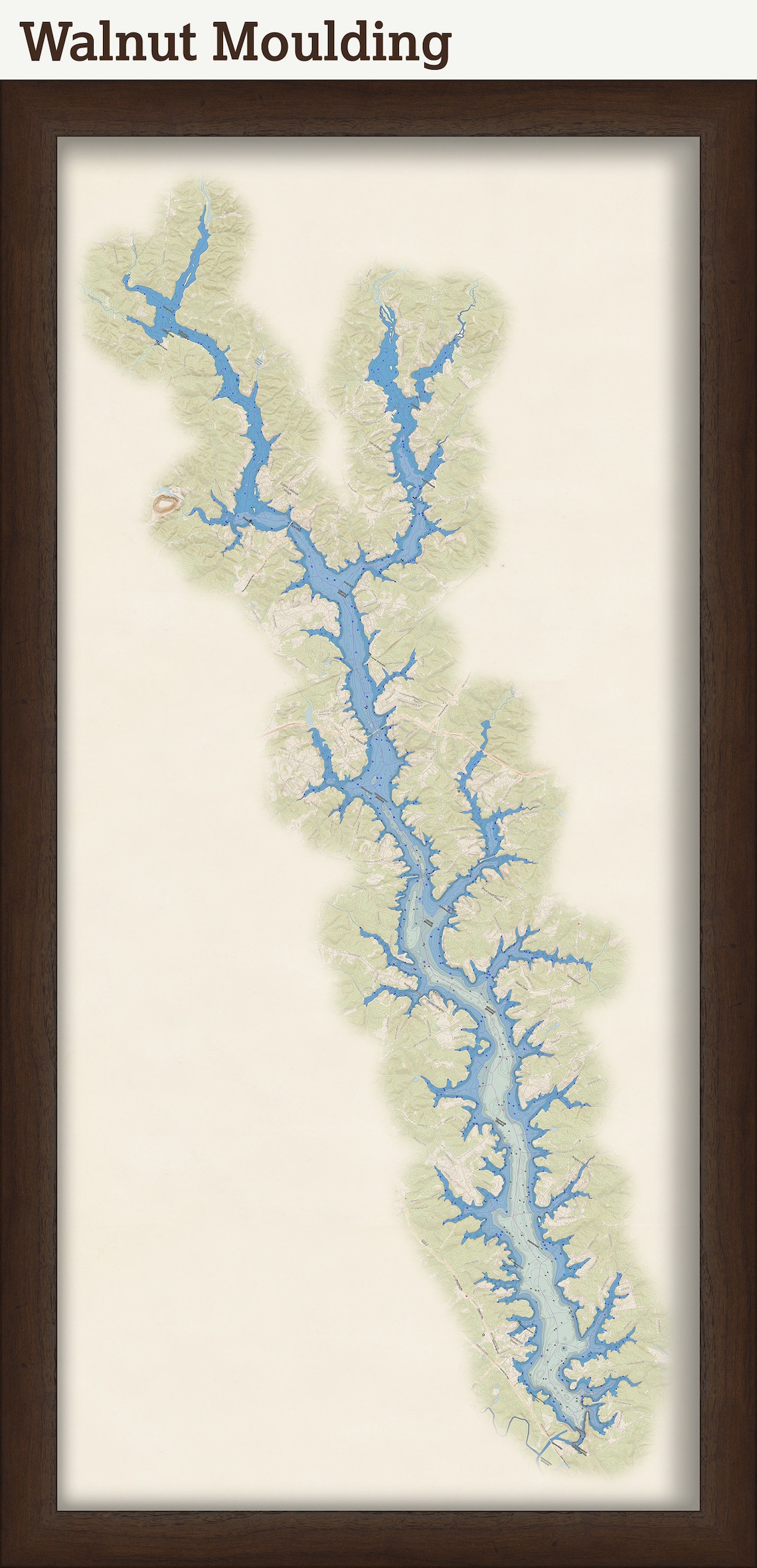 Lake Greenwood South Carolina Topographic Map With Etsy